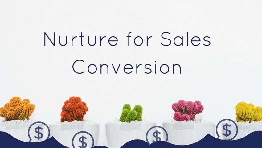 nurturing for sales conversions