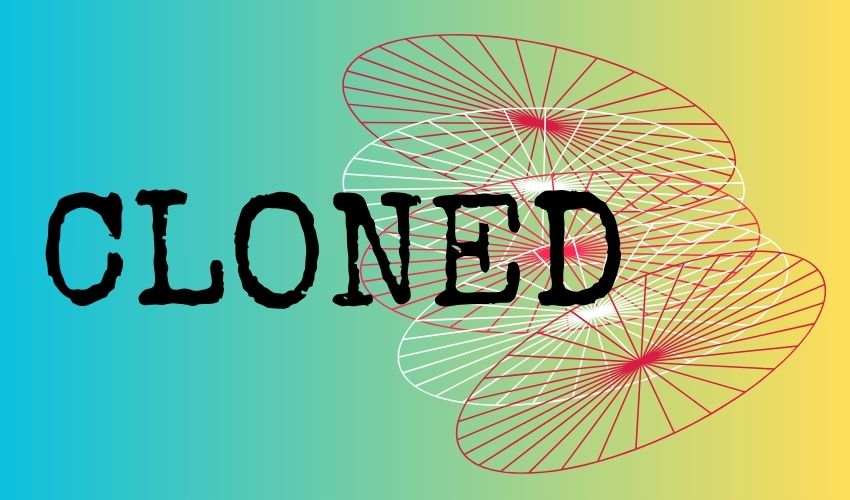 The perils of copycat and cloned websites